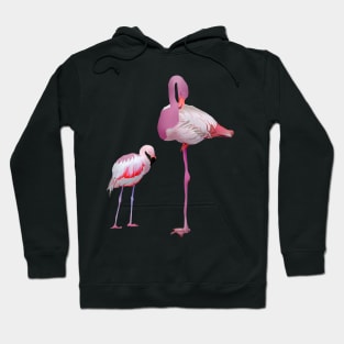 Flamingo Bird Hoodie